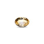 Citrine - 9.05 Carat - Pramogh