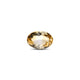 Citrine - 9.05 Carat - Pramogh