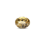 Citrine - 8.65 Carat - Pramogh