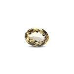Citrine - 7.05 Carat - Pramogh