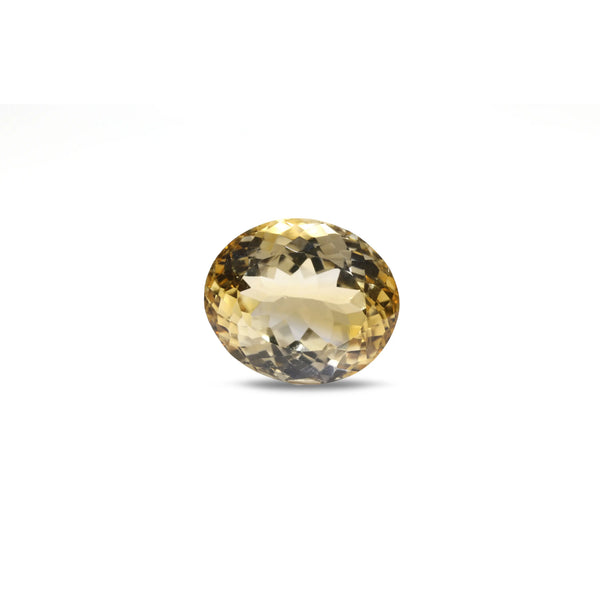 Citrine - 8.85 Carat - Pramogh