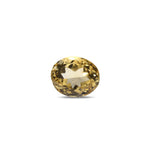 Citrine - 6.95 Carat - Pramogh
