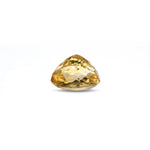Citrine - 6.95 Carat