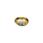 Citrine - 7.3 Carat - Pramogh