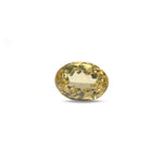 Citrine - 9.3 Carat - Pramogh