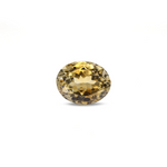 Citrine - 6.8 Carat - Pramogh