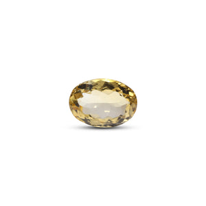 Citrine - 8.1 Carat - Pramogh