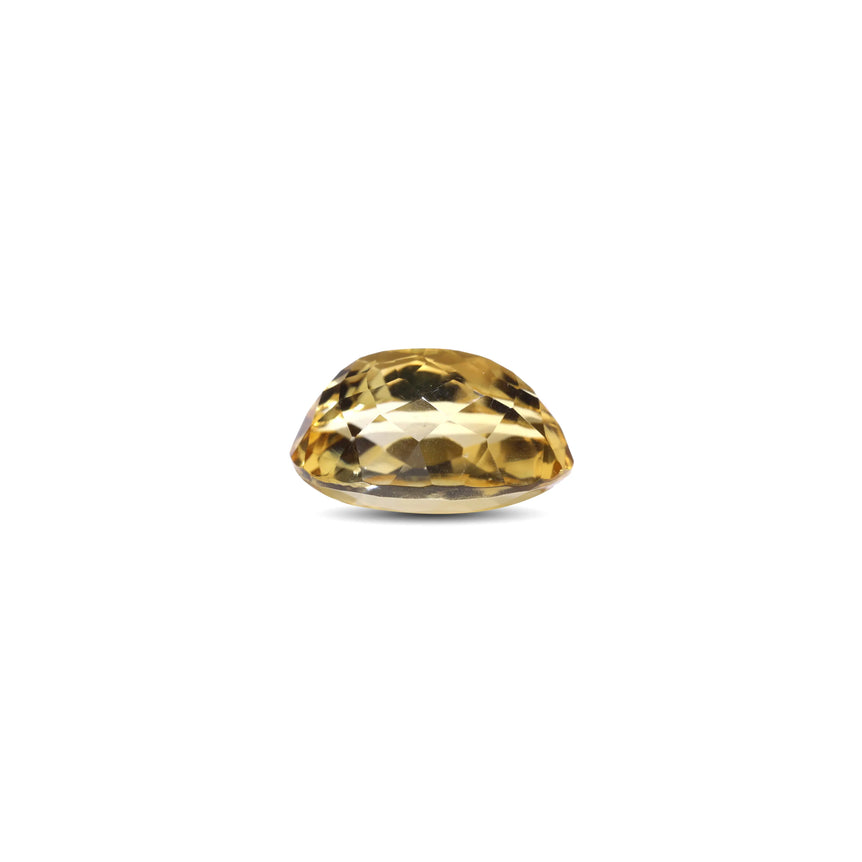 Citrine - 8.2 Carat - Pramogh