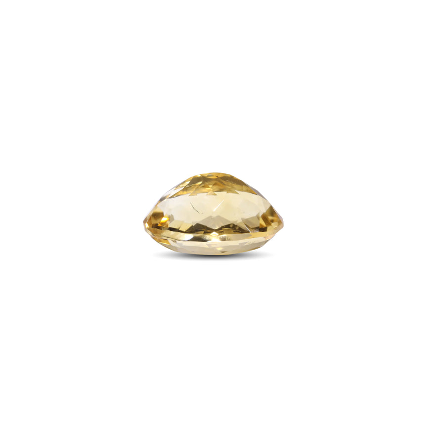 Citrine - 7.75 Carat - Pramogh