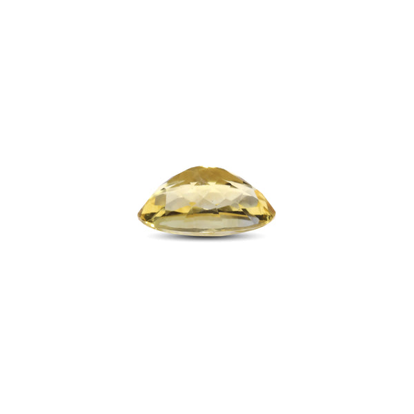 Citrine - 10.45 Carat - Pramogh