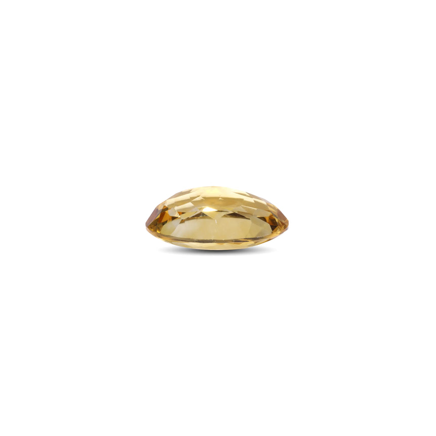 Citrine - 6.3 Carat - Pramogh