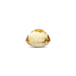 Citrine - 12.25 Carat - Pramogh