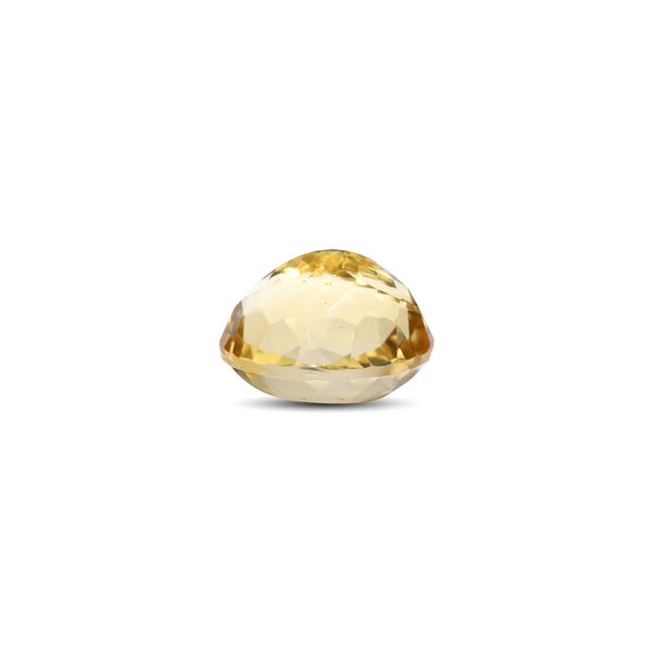 Citrine - 12.25 Carat - Pramogh