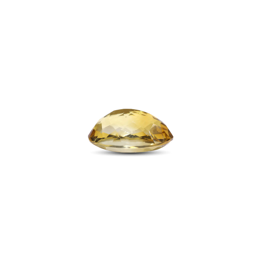 Citrine - 11.05 Carat - Pramogh