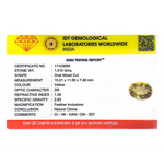 Citrine - 7.55 Carat