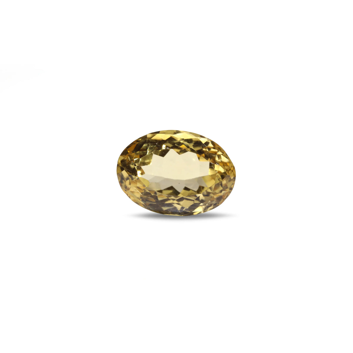 Citrine - 8.7 Carat - Pramogh