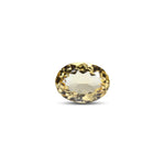 Citrine - 6.65 Carat - Pramogh