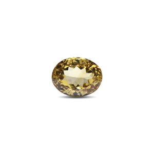 Citrine - 6.55 Carat - Pramogh