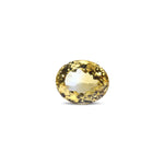 Citrine - 7.05 Carat - Pramogh