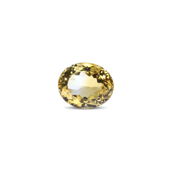Citrine - 7.05 Carat - Pramogh