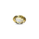 Citrine - 10 Carat - Pramogh