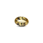 Citrine - 8.1 Carat - Pramogh