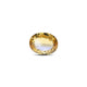 Citrine - 6.4 Carat - Pramogh