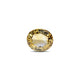 Citrine - 8.1 Carat - Pramogh