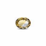 Citrine - 8.25 Carat - Pramogh