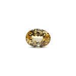 Citrine - 7.25 Carat - Pramogh