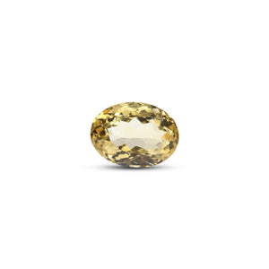 Citrine - 7.85 Carat - Pramogh