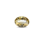 Citrine - 7.2 Carat - Pramogh