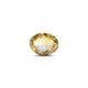 Citrine - 10.9 Carat - Pramogh