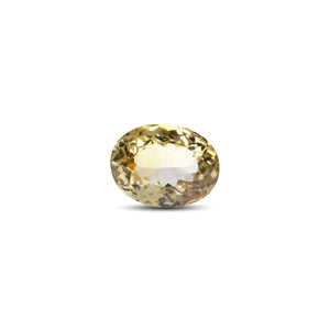 Citrine - 12.3 Carat - Pramogh