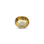 Citrine - 7.8 Carat - Pramogh