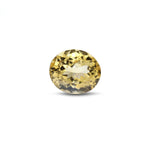 Citrine - 7.25 Carat - Pramogh