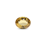 Citrine - 25.25 Carat - Pramogh