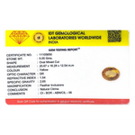 Citrine - 25.25 Carat