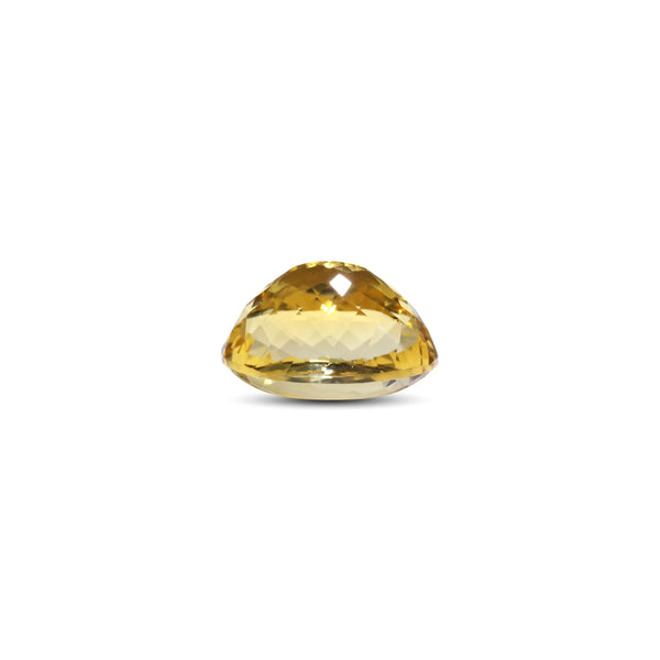 Citrine - 24.75 Carat