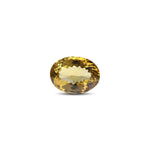 Citrine - 26.1 Carat - Pramogh