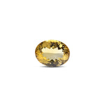 Citrine - 26.5 Carat - Pramogh