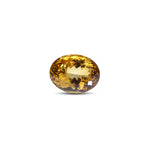 Citrine - 16.85 Carat - Pramogh