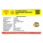 Citrine - 7.22 Carat