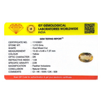 Citrine - 6.05 Carat