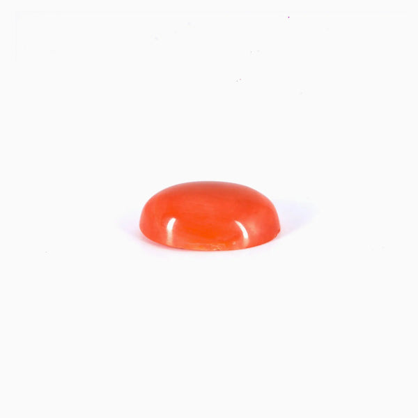 Japanese Red Coral  - 4.82 Carat