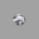 Crystal Quartz - 5.05 Carat - Pramogh