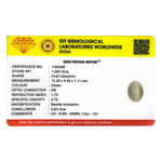 Catseye - 6.3 Carat - Pramogh