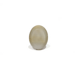 Catseye - 7.7 Carat - Pramogh