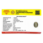 Catseye - 6.65 Carat - Pramogh