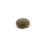 Catseye - 6.3 Carat - Pramogh